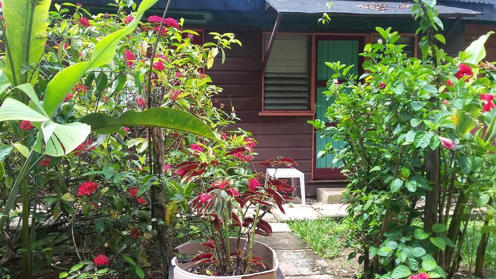 נגריל Secret Cabins At Firefly Beach Cottage חדר תמונה